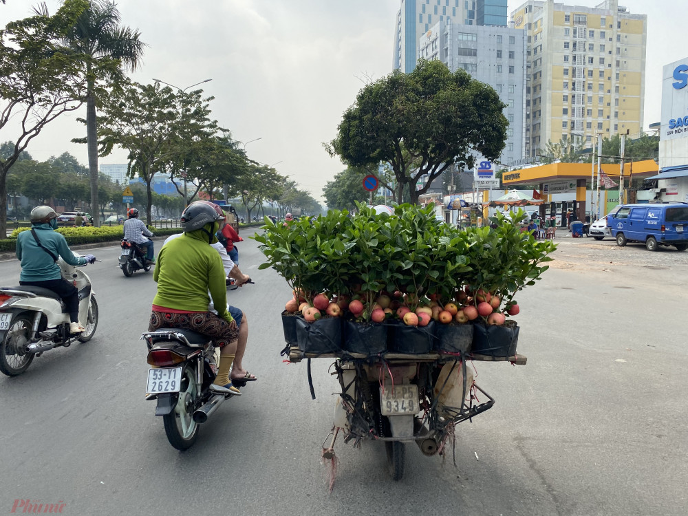 Đặc điểm chung của những người bán loại cây giả này là rất ít ngồi cố định một điểm, mà thường di chuyển liên tục qua nhiều tuyến đường vì sợ người mua phản ứng. Tuy nhiên, cũng có không ít người biết rõ đây là cây táo giả vẫn sẵn sàng bỏ tiền mua vì thấy… đẹp mắt.