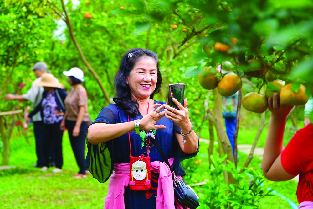 Du khách tham quan, chụp ảnh ở vườn quýt Hai Kiệt