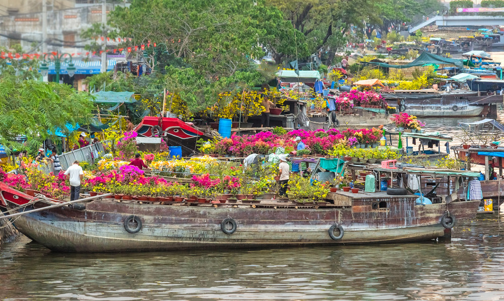 Chợ hoa xuân bến Bình Đông năm nay sẽ có thêm phần nghệ thuật