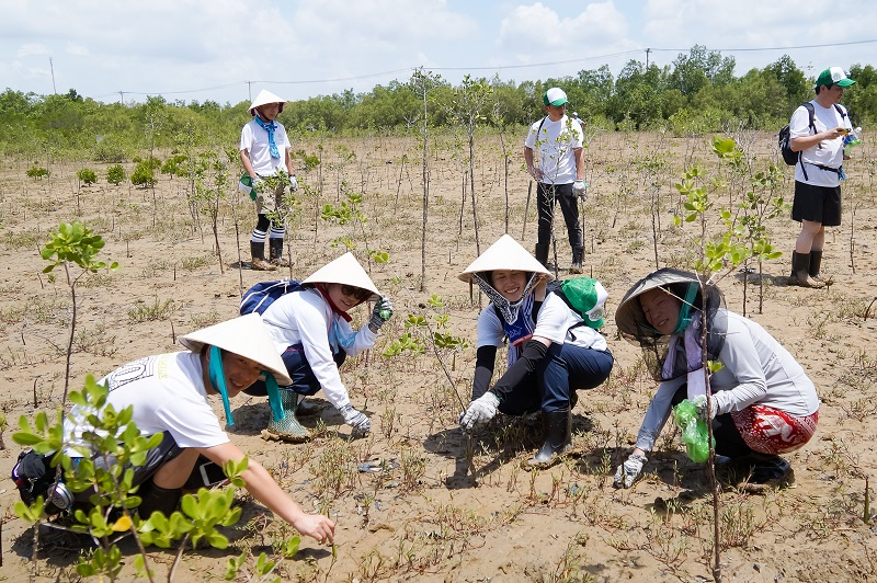 Trồng rừng ở Cần Giờ là một trong những hoạt động giới thiệu hệ thống rừng ngập mặn tại TPHCM với du khách quốc tế cũng như góp phần phủ xanh Khu dự trữ sinh quyển rừng ngập mặn và bảo vệ môi trường.