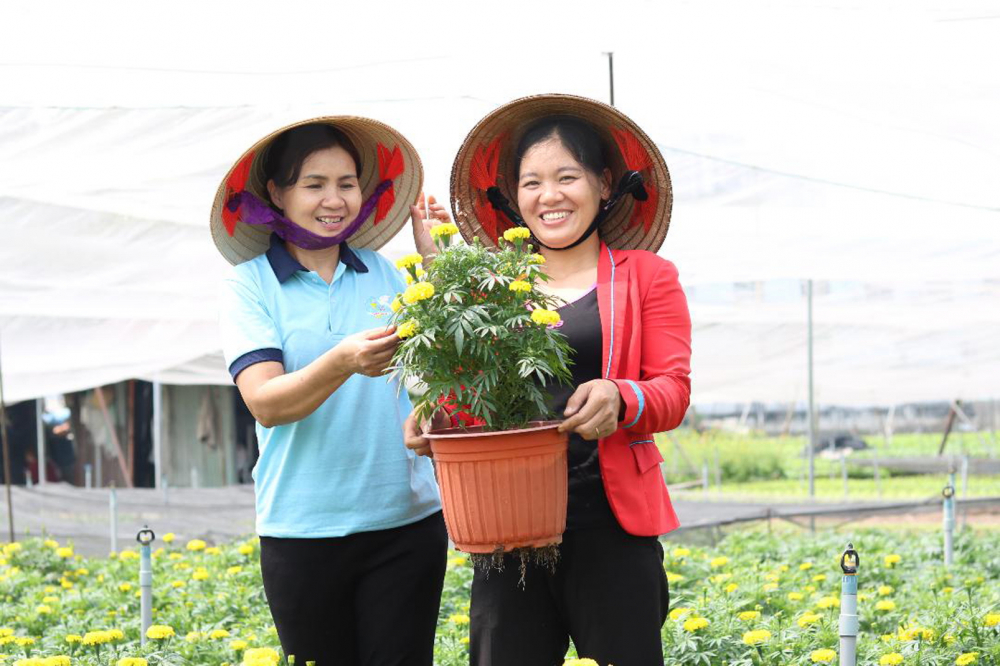 Chị Trần Thị Thúy Hải (phải) và cán bộ,  hội viên phụ nữ P.Hiệp Thành rất vui khi những chậu hoa tếr đã bắt đầu khoe sắc