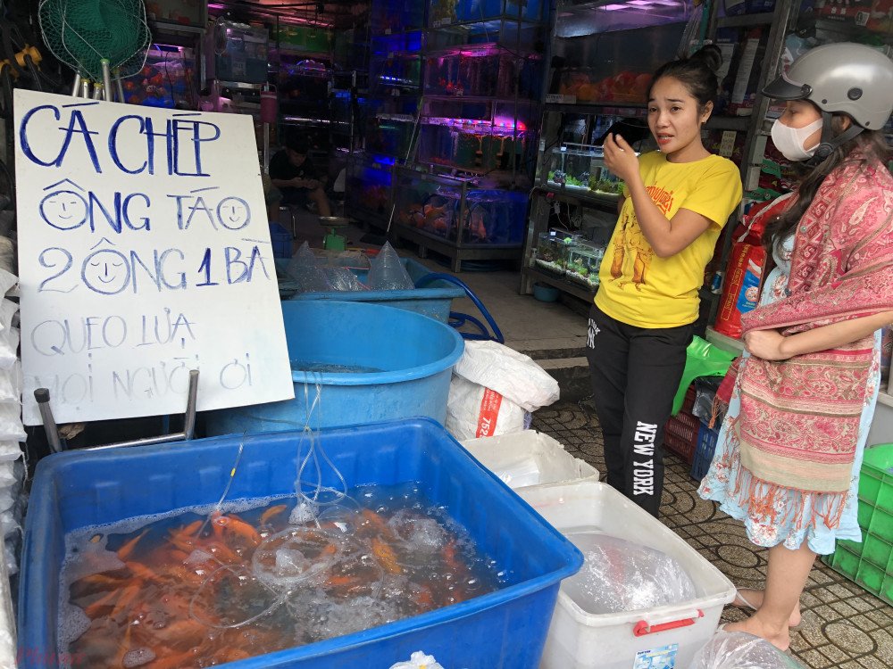 Đường Nguyễn Thông (Q.3, TPHCM) có đến ba điểm bán chép phóng sinh ngày ông Công ông Táo. Thế nhưng năm nay khách đến mua cá tại các cửa hàng này khá vắng. 