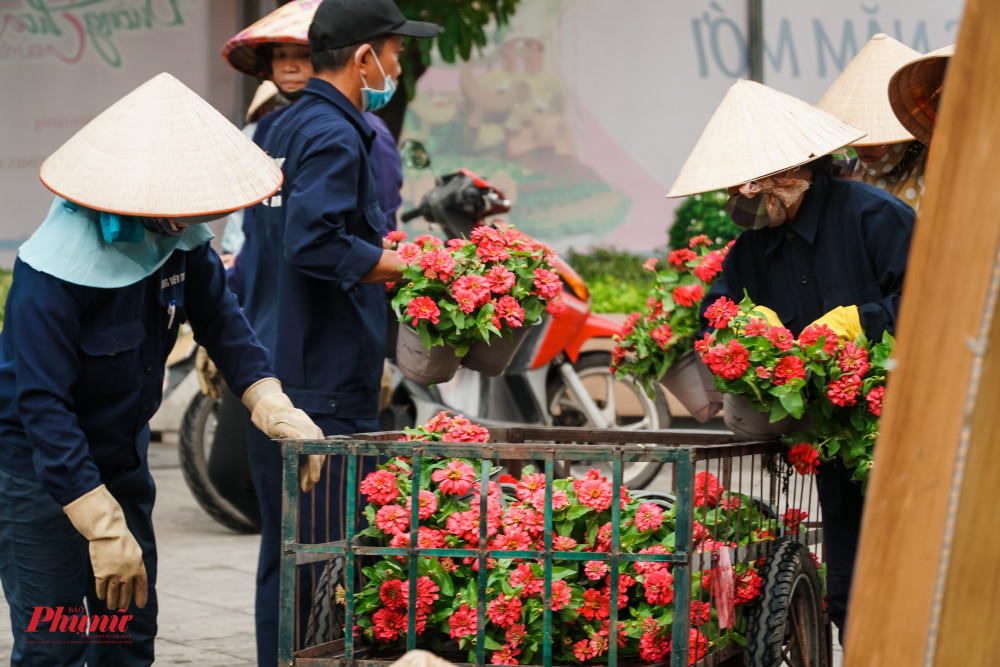 Các công nhân đang tính cực hoàn thiện các công đoạn cuối của đường hoa