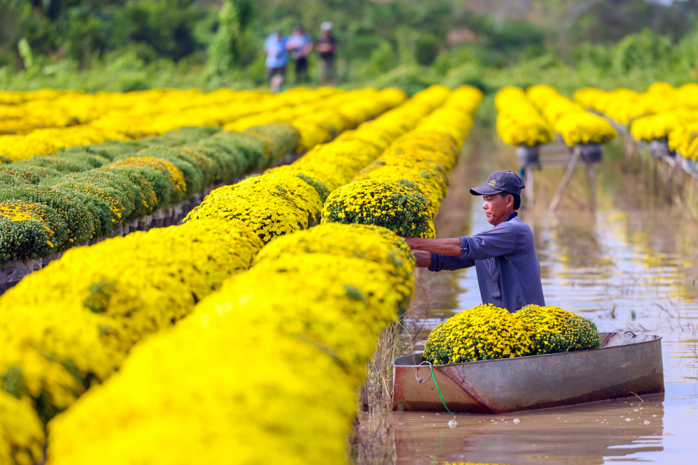 Không chỉ cung cấp hoa đi khắp mọi nơi, làng hoa trăm tuổi cũng thu hút nhiều người dân đến tham quan chụp ảnh vì khung cảnh đẹp rực rỡ và dịu dàng của mình