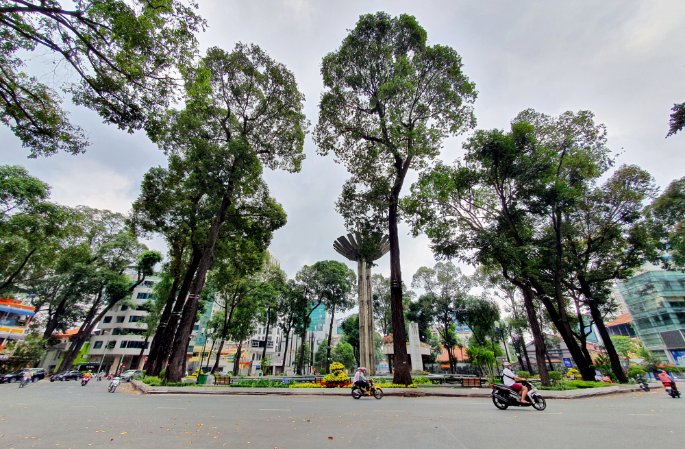 Khung cảnh thanh bình tại khu vực hồ Con Rùa, nơi giao nhau giữa các đường Phạm Ngọc Thạch - Trần Cao Vân - Võ Văn Tần