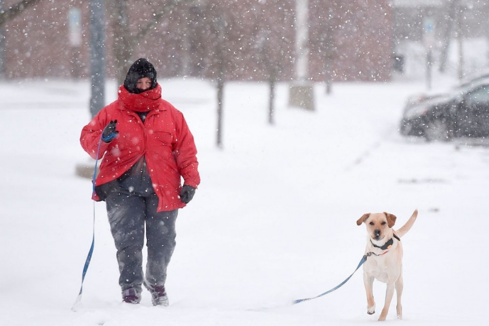 Một phụ nữ dắt chó đi dạo ở Edinboro, bang Pennsylvania, Mỹ hôm 17/2. Theo cơ quan dự báo thời tiết, tuyết tiếp tục rơi dày 12-20 cm trong những ngày tới tại bang này.