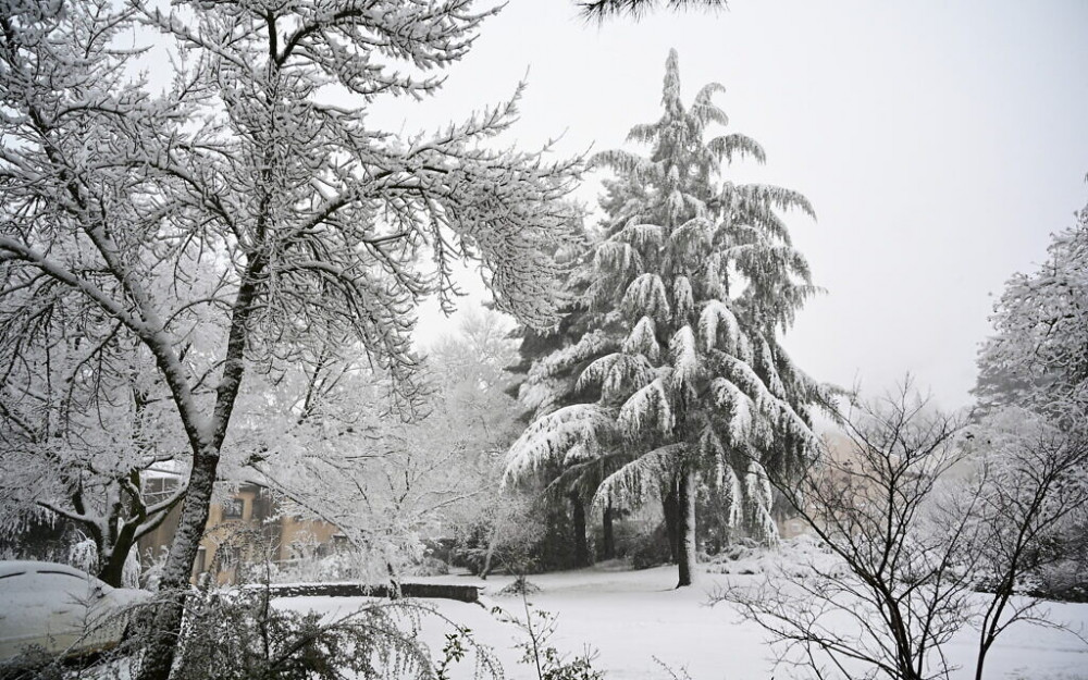 Những ngày trung tuần tháng 2, tuyết bắt đầu rơi, bao phủ nhiều khu vực trên thế giới.
