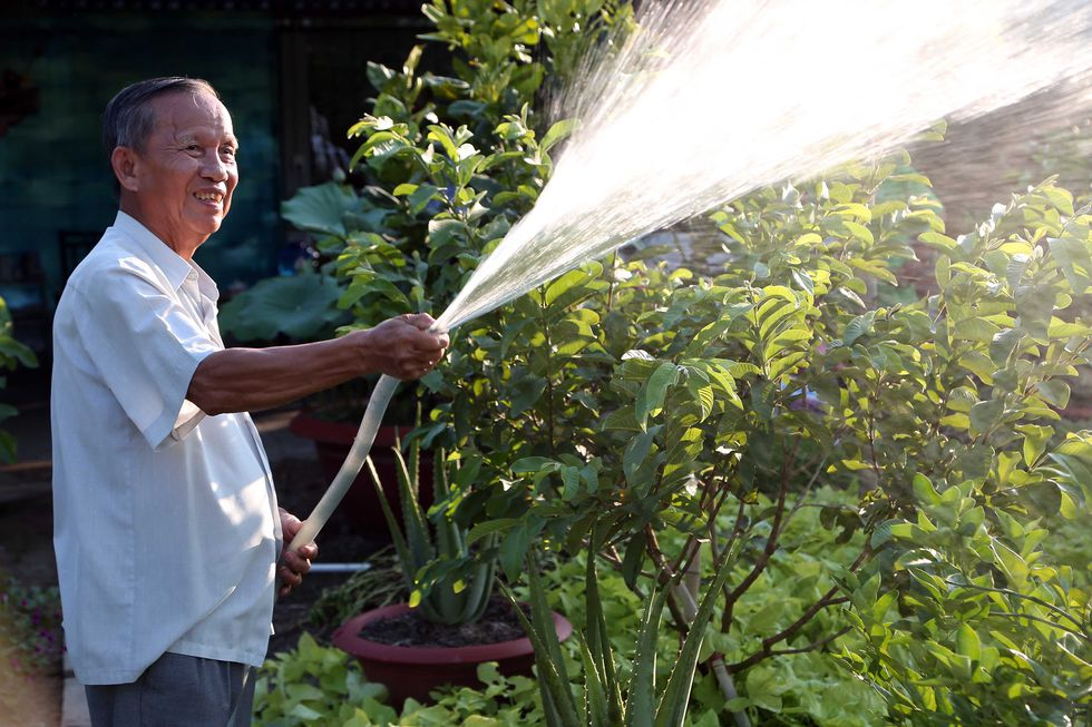 Nguyên Phó Thủ tướng Trương Vĩnh Trọng tưới rau làm vườn khi nghỉ hưu (ảnh chụp tháng 12/2016) - Ảnh: TNO