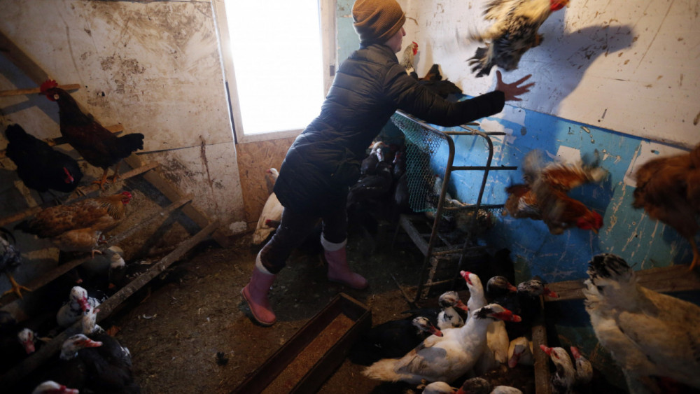 Những nông dân bị nhiễm virus chủng mới H5N8 ở một nông trại gia cầm hồi tháng 12/2020 - Ảnh: Valery Matytsin / TASS