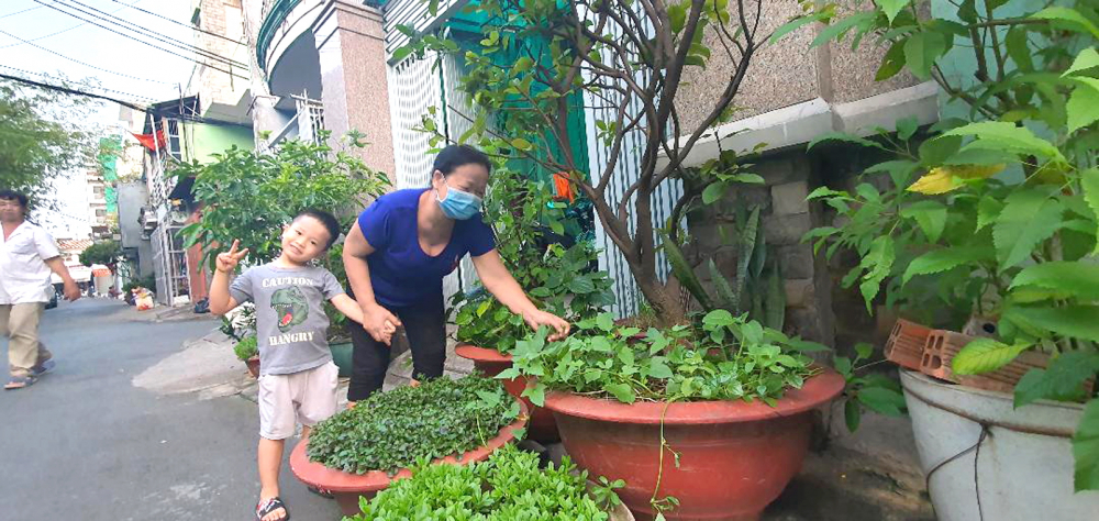 Cô Tươi trồng thêm mảng xanh tại nhà ở hẻm 237 Trịnh Đình Trọng