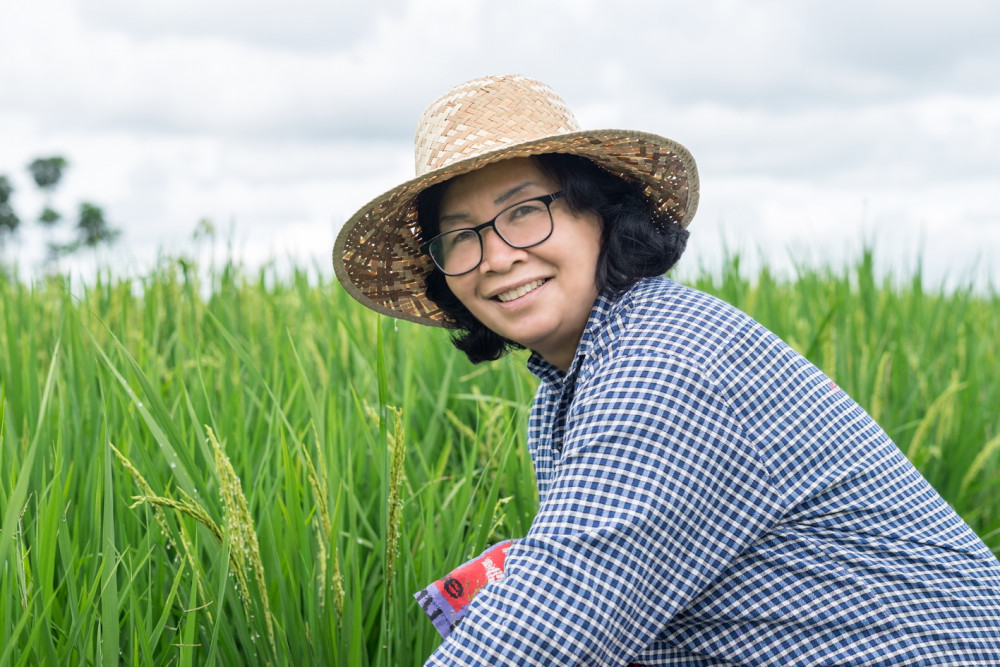 Ảnh mang tính minh họa - Shutterstock