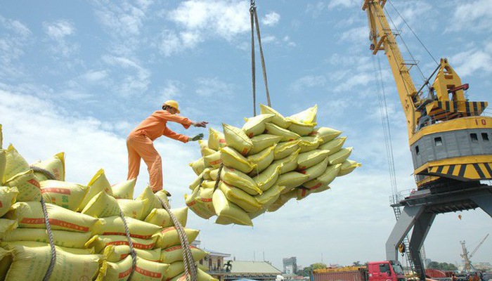 Tổng công ty Lương thực Miền Nam (Vinafood 2) tích cực chuẩn bị nguồn cung phục vụ công tác xuất khẩu gạo - Ảnh: 