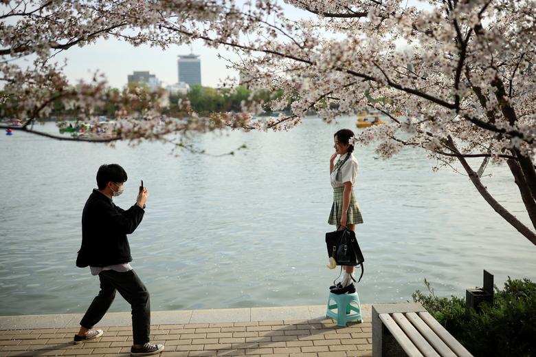 Hai bạn trẻ chụp hình dưới tán hoa anh đào tại một công viên ở Bắc Kinh hôm 31/3.