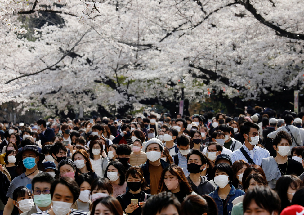 Hàng nghìn du khách ngắm hoa ở công viên Ueno, Tokyo hôm 30/3.