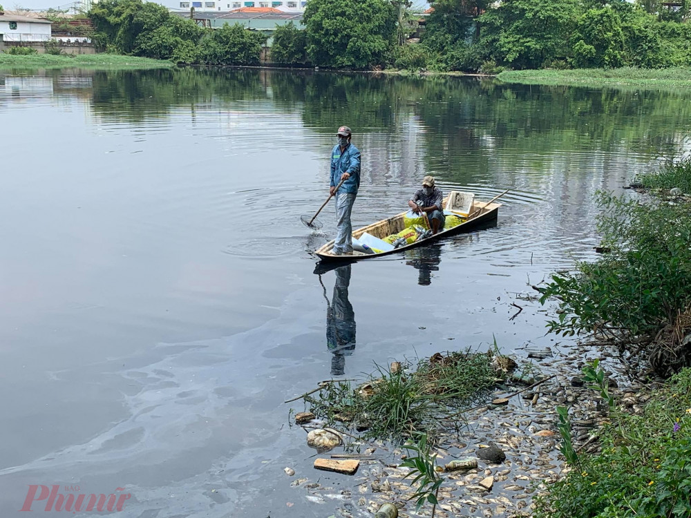 UBND phường An Lạc phải huy động nhiều người và ghe đến hiện trường để xử lý cá chết.