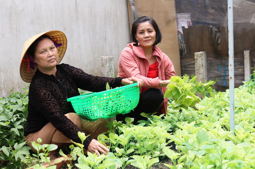 Bà Sáu và chị Thơ trong vườn rau xanh mát tại khu nhà trọ