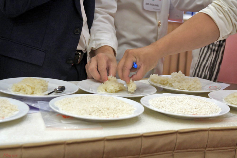 Gạo ST25 trong lần dự cuộc thi gạo ngon thế giới - Ảnh: Quốc Thái