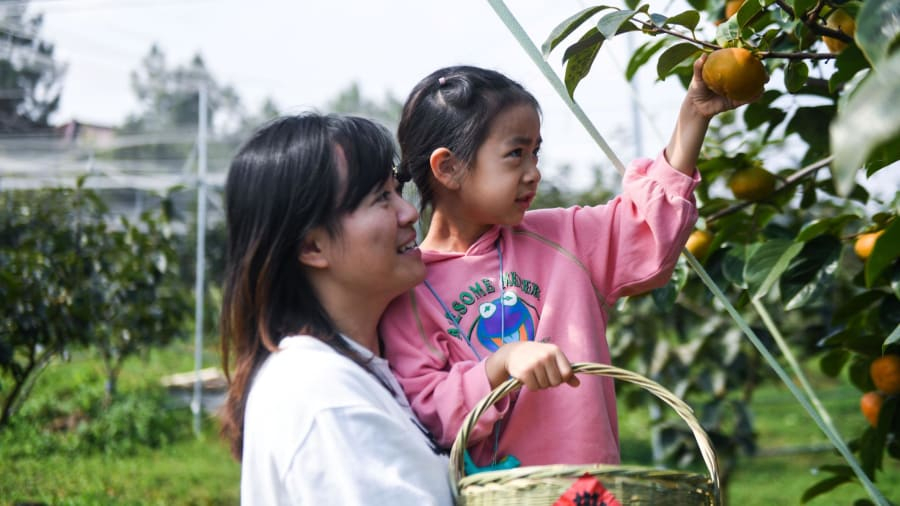 Du lịch ở nông thôn, du khách có thể trải nghiệm như những nông dân thực thụ