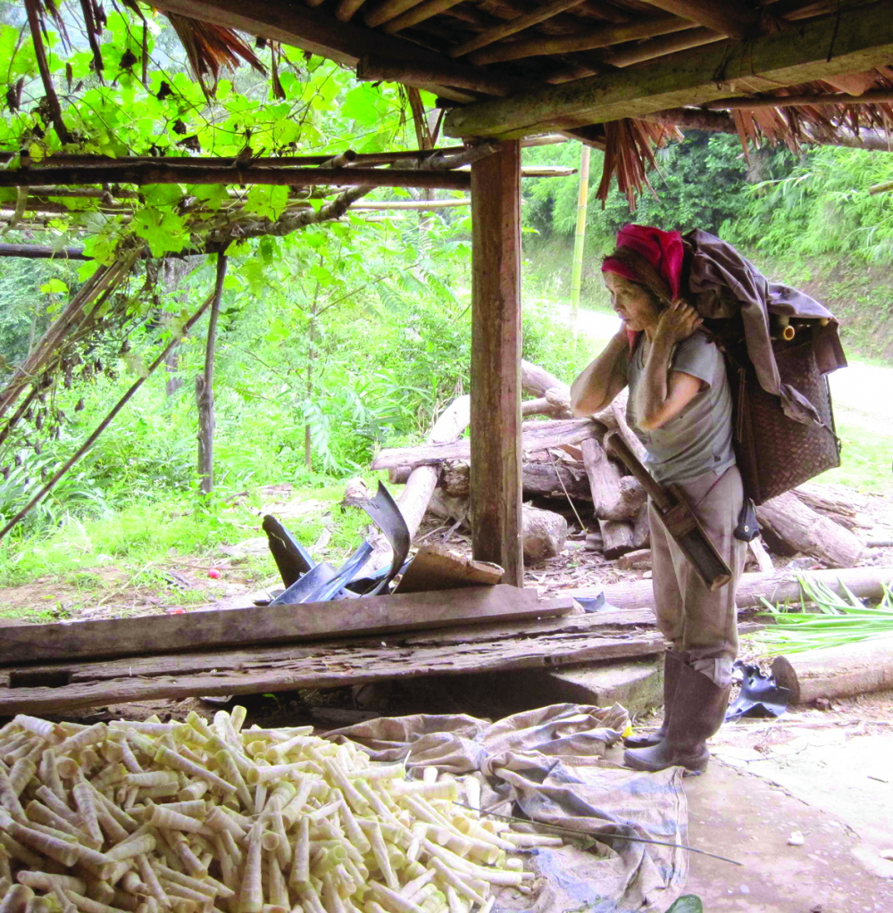 Bà Dắng đeo gùi đi rừng quanh năm, hái măng, hái chít, chặt nứa để trang trải mọi khoản chi tiêu trong nhà