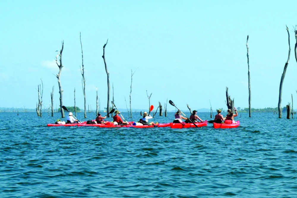 Chèo thuyền kayak trong lòng hồ Brokopondo