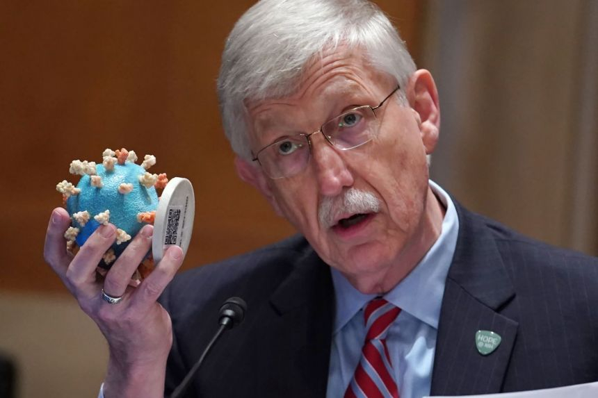 Giám đốc Viện Y tế Quốc gia (NIH) Francis Collins giới thiệu mô hình virus COVID-19 trong một phiên điều trần về ngân sách tại Quốc hội Mỹ - Ảnh: Getty Images