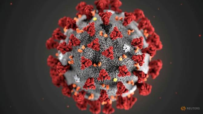 Hình thái siêu cấu trúc của Novel Coronavirus 2019 (SARS-CoV-2) được trưng bày do Trung tâm Kiểm soát và Phòng ngừa Dịch bệnh Hoa Kỳ (CDC) công bố tháng 1/2021 - Ảnh: Reuters