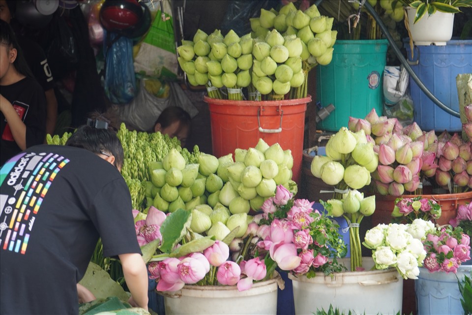 Sở Công Thương TPHCM chỉ đạo các chợ sỉ bán hoa tăng cường tiếp nhận, phân phối hoa tươi từ các tỉnh.