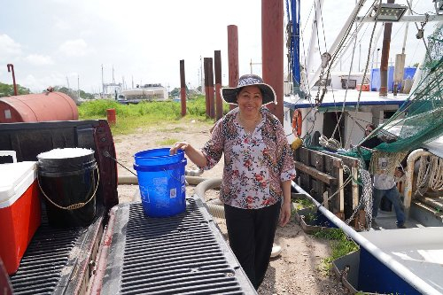 Phuong Thi Nguyen bỏ thêm đá vào thùng làm lạnh tại bến tàu ở Bayou La Batre - Ảnh: AL.com