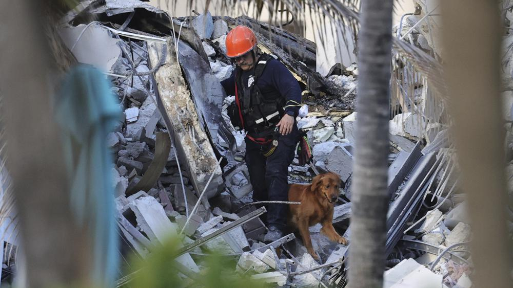 Nhân viên cứu hỏa tiến hành tìm kiếm qua đống đổ nát cùng sự hỗ trợ của chó cứu hộ  