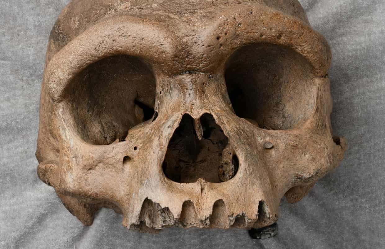 Chiếc sọ người có từ cách đây 140.000 năm ẩn giấu nhiều bí mật về nhân chủng học - Ảnh: Wei Gao
