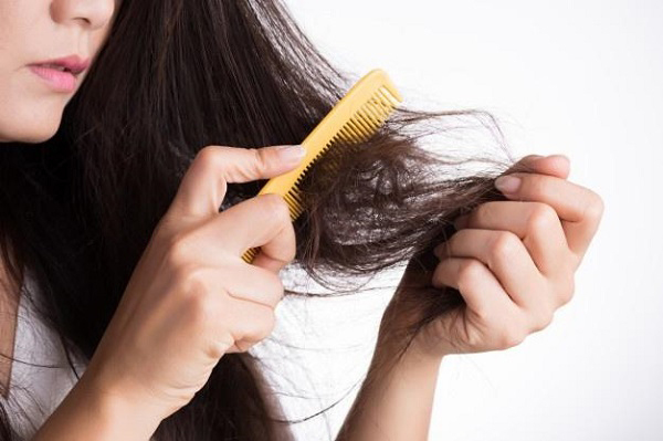 Mỗi ngày, cơ thể cho phép rụng khoảng 100 - 150 sợi tóc