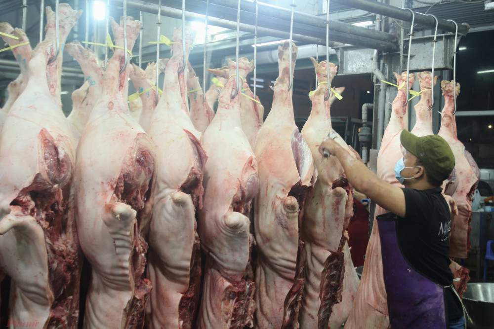 Thịt heo ngưng về chợ sỉ TPHCM, ách tắt đầu ra tại vùng nuôi làm nông dân Đồng Nai gặp khó khăn. Ảnh: Quốc Thái