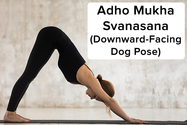 3. Adho mukha svanasana (chó hướng xuống) adho mukha svanasana (tư thế chó quay mặt xuống) Bắt đầu bằng cách cúi người bằng bốn chân để đảm nhận vị trí trên mặt bàn. Thở ra và từ từ nâng hông lên đồng thời duỗi thẳng khuỷu tay và đầu gối để cơ thể giống như hình chữ V ngược , và các ngón chân của bạn nên hướng ra ngoài. Đẩy lòng bàn tay xuống đất và duỗi thẳng cổ. Hướng ánh nhìn về phía rốn của bạn. Giữ nguyên tư thế này trong vài giây. Thả tư thế bằng cách uốn cong đầu gối của bạn và trở lại vị trí ban đầu.