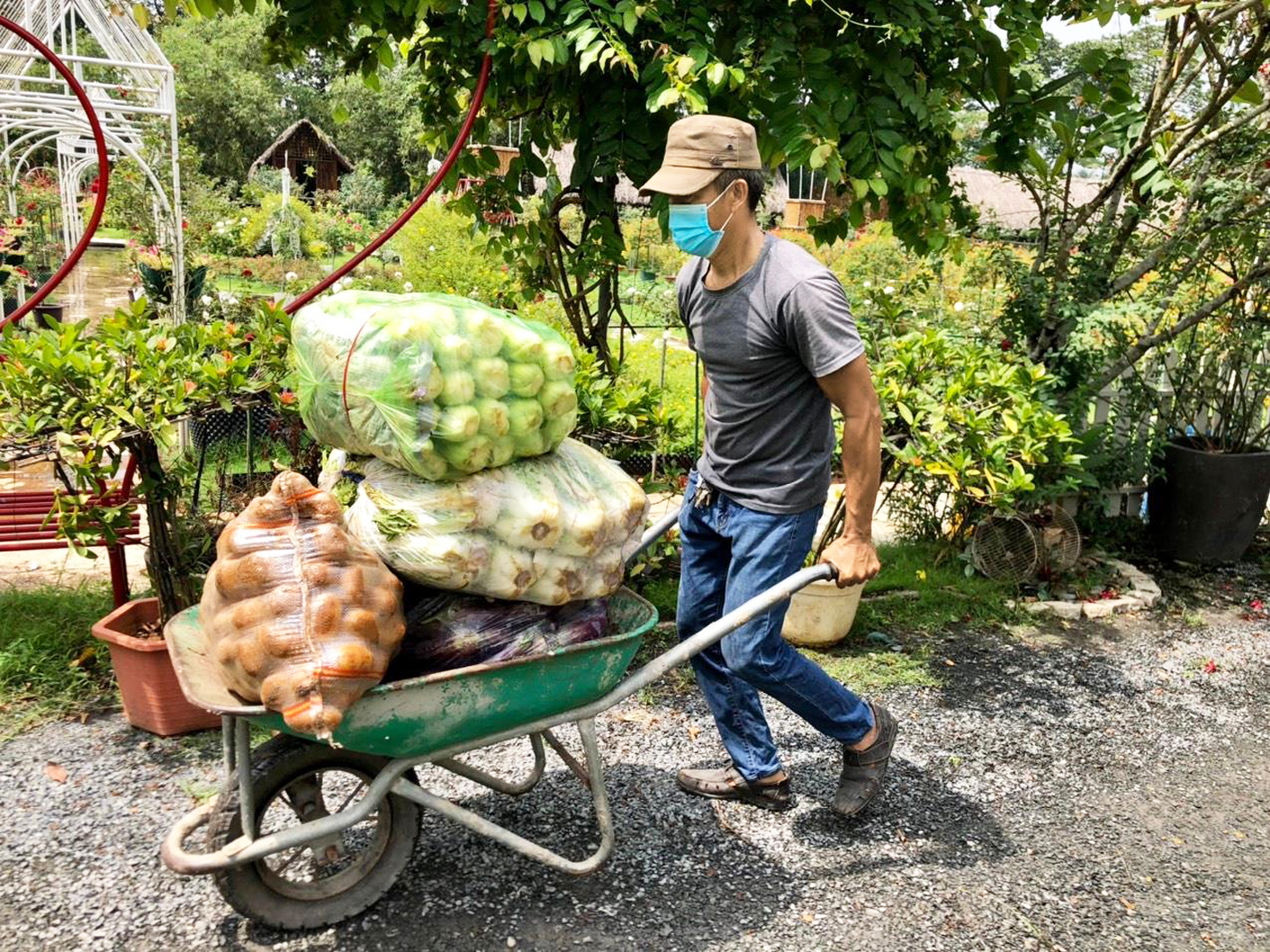 Anh Nguyễn Văn Thọ chuyển rau củ từ ruộng ra xe