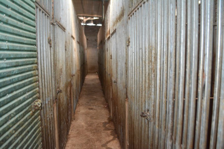 Hệ thống chuồng trại nuôi hổ được thiết kế dưới tầng hầm
