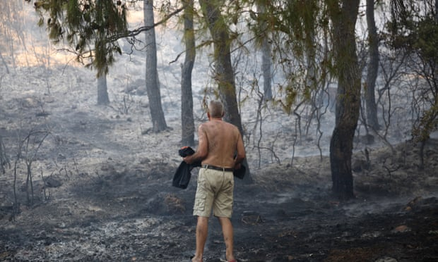 Những gì còn lại sau khi một đám cháy đi qua gần Athens - Ảnh: EPA