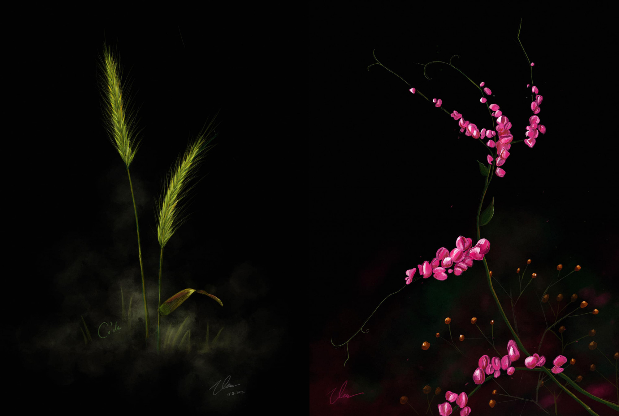 Hai bức tranh vẽ hoa, cỏ của Lê Thiện Viễn khá sống động với màu ắc tươi trẻ nổi bật lên nền đen.