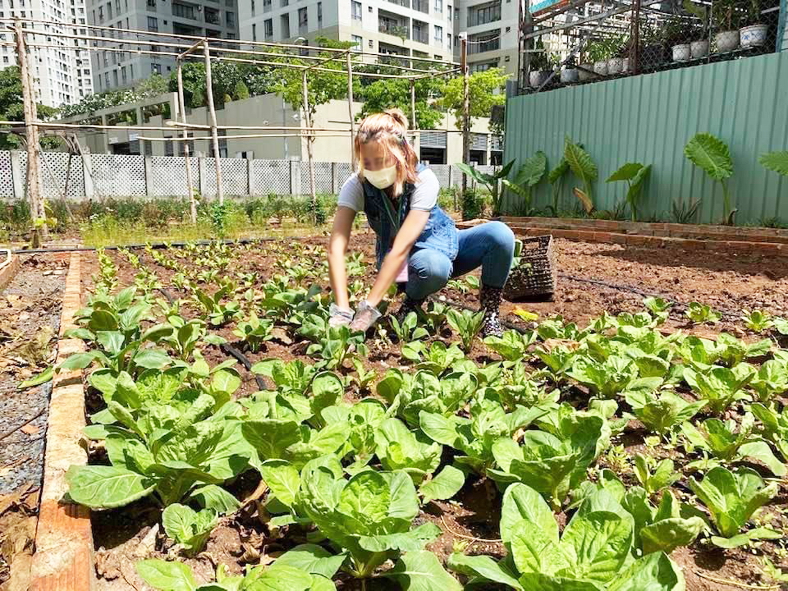 Chị Trần Thị Phương Hạnh cần mẫn chăm sóc khu vườn 