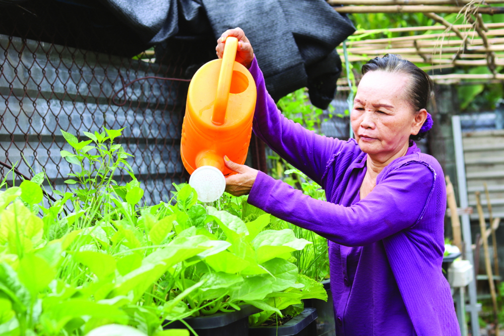 A Phùng Thị Trung vun vén khu vườn để chia sẻ rau củ cho mọi người