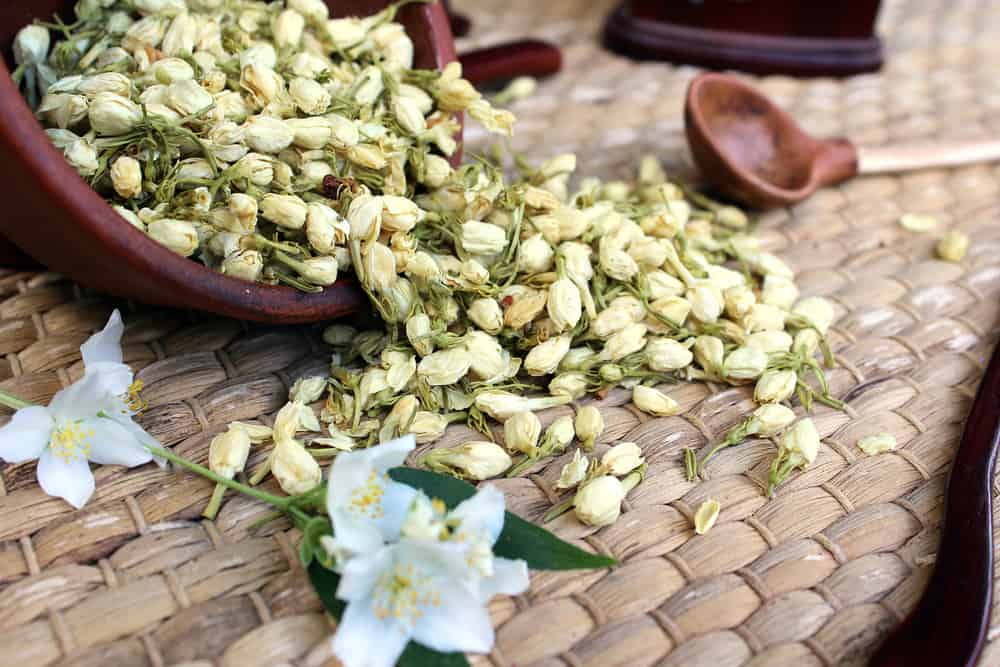 Trà hoa nhài, nước hoa lài và hơn thế nữa. Nó được gọi phổ biến là mogra trong tiếng Hindi. Sẽ có một vấn đề nan giải liên tục nếu Jasmine ăn ngon hơn hay có mùi thơm hơn ... Vị ngọt tinh tế và hương thơm nồng nàn khiến nó trở thành một trong những nguyên liệu yêu thích của các đầu bếp trong nhà bếp. Hoa nhài có thể được thêm vào bánh quy, bánh ngọt, salad và trà của bạn. Cơm Jasmine là một món ăn châu Á được yêu thích trên toàn thế giới. Về mặt khoa học, được biết đến với tác dụng giảm huyết áp, thư giãn thần kinh, cải thiện tâm trạng, kiểm soát chứng mất ngủ và tăng cường hệ miễn dịch. Chất chống oxy hóa mạnh mẽ của hoa nhài cũng hoạt động như một chất xúc tác để chống lão hóa.