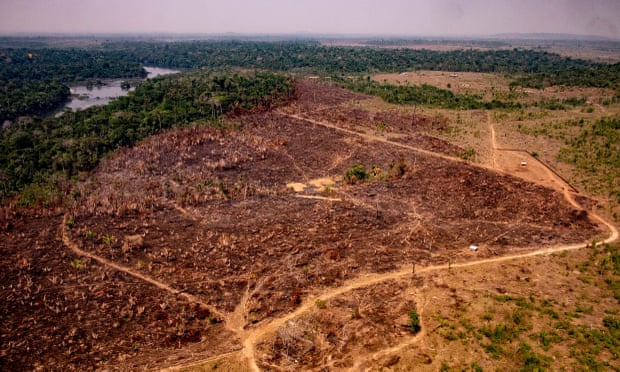 Nạn phá rừng ở Amazon đang nằm ngoài tầm kiểm soát của chính phủ Brazil.