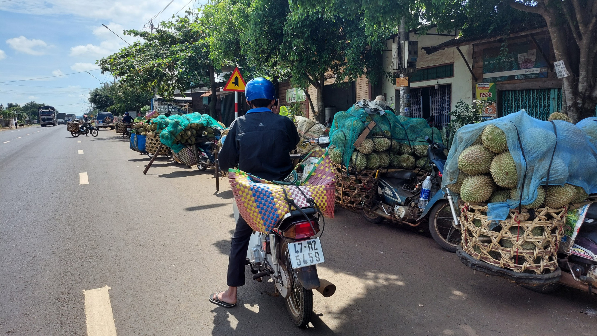 Xe thu mua sầu riêng xếp hàng dài trên 1 tuyến đường tại huyện Krông Pắk