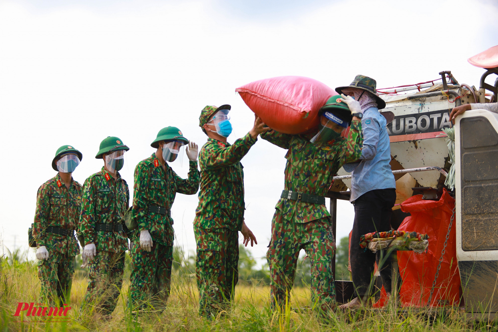 Bộ đội bên cạnh việc trực chốt, tuần tra còn hỗ trợ người dân thu hoạch vụ mùa