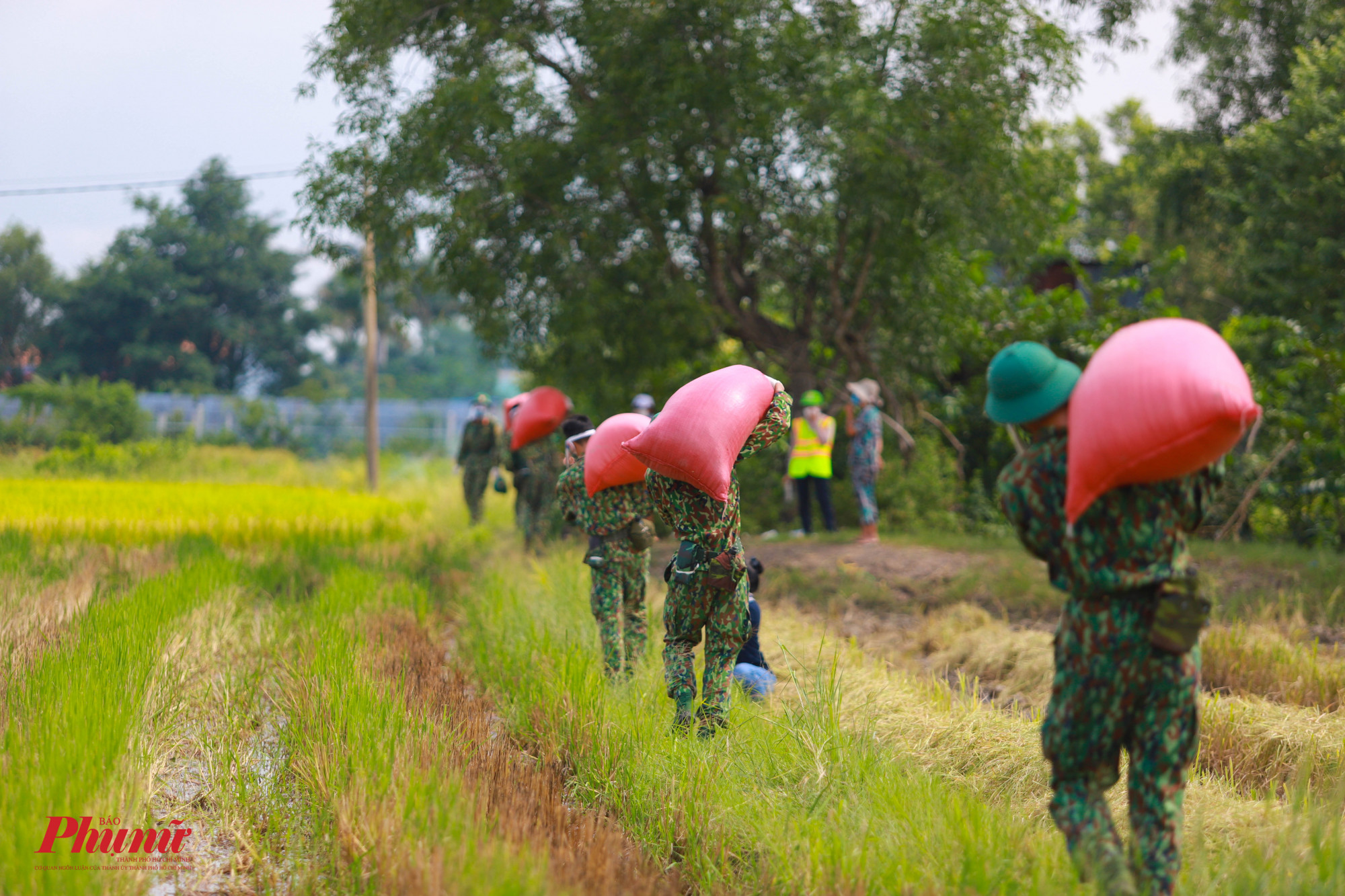 Lần lượt từng bao lúa được bộ đội vận chuyển ra ngoài