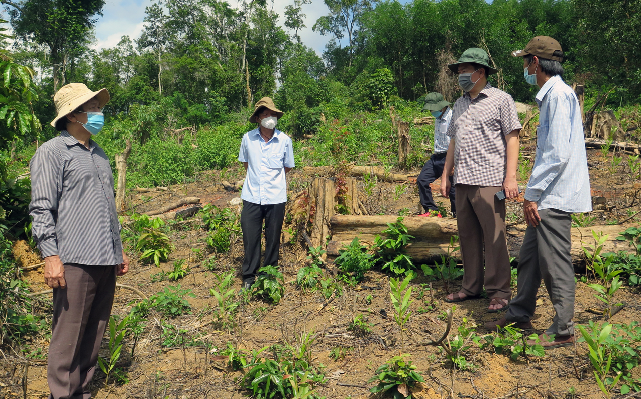 Chủ tịch UBND tỉnh Phú Yên cùng các đơn vị, chính quyền địa phương kiểm tra thực tế và chỉ đạo xử lý vụ việc phá rừng phòng hộ tại xã Sơn Hội, huyện Sơn Hòa