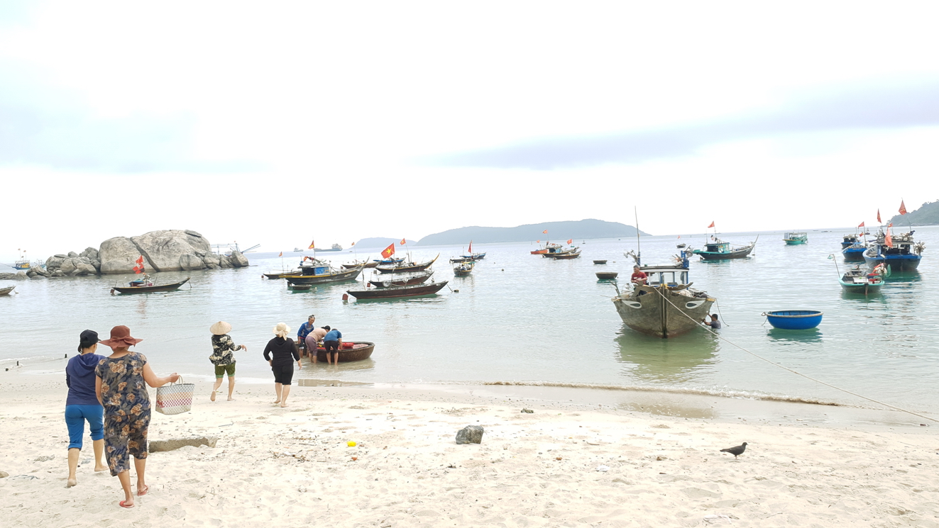 Hoạt động du lịch đình trệ do dịch, người dân ở Cù Lao Chàm (TP.Hội An, tỉnh Quảng Nam) quay sang nghề đánh bắt cá