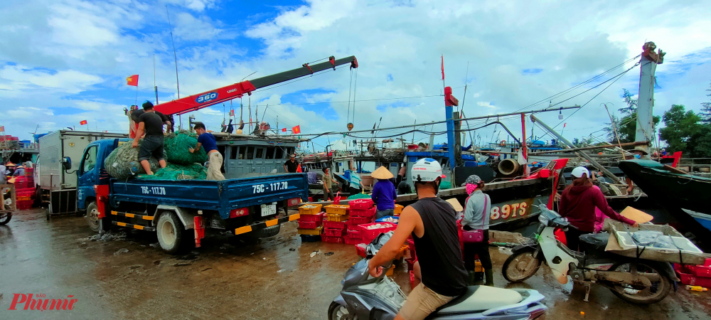 Ngư dân hối hả đưa tàu thuyền vào trú bão ở cảng cá Thuận An