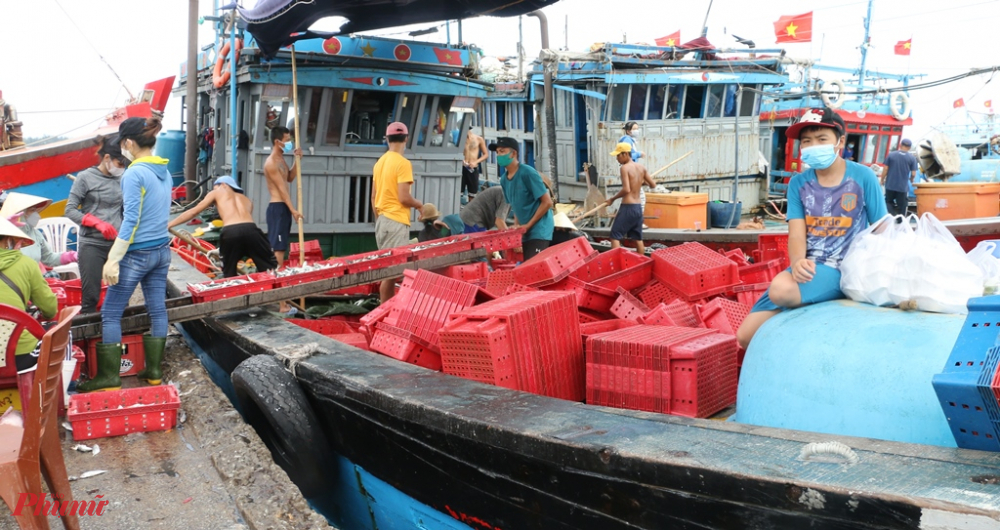 Đứng chờ thương lái đến cân cá ở khoang chứa đông lạnh, ông Trần Văn Dũng churtàu cá ở xã Phú Thuận cho biết cho biết, tàu của ông vừa vào Cảng cá Thuận An vào sáng 9/9 đến trưa nay đã bán hết cá cho thương lái đến mua