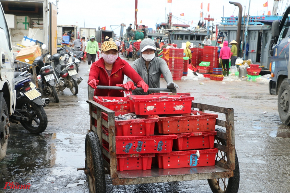Tất cả mọi người trên cảng cá Thuận An đều tất bật mong muốn mọi việc xong sớm để  về nhà tránh bão