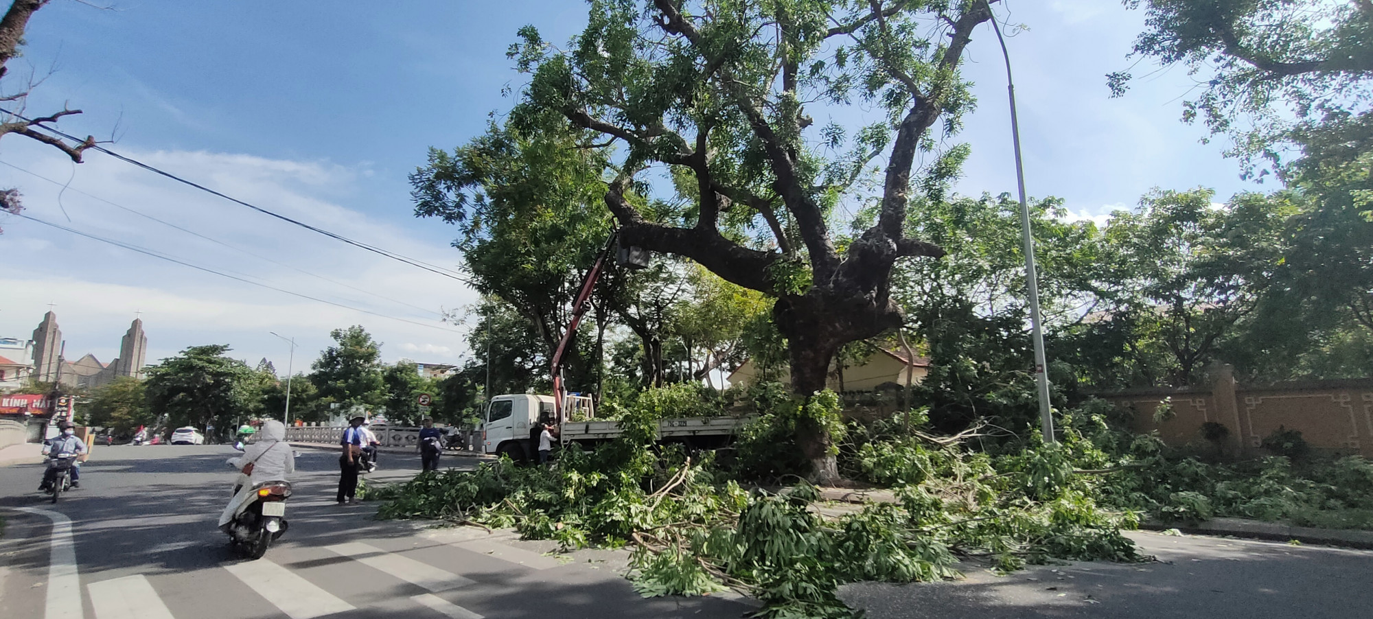 Công ty môi trường đô thị Huế khẩn trương chặt, tỉa nhánh cây trước lúc bão đổ bộ